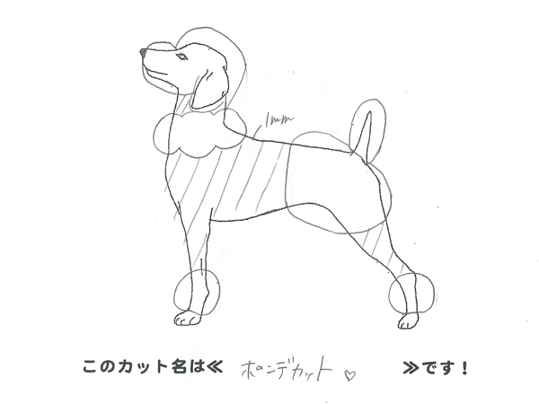 カットのデザインを考えました！